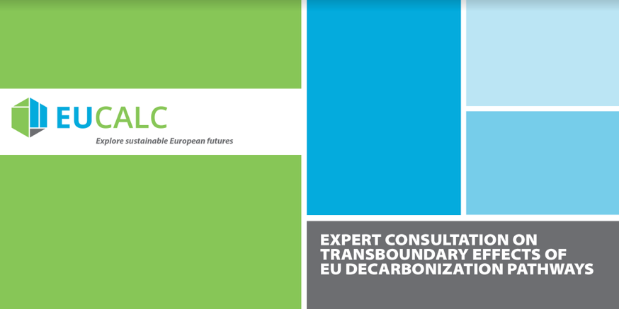 Expert Consultation workshop on “Transboundary Effects of EU decarbonization pathways”