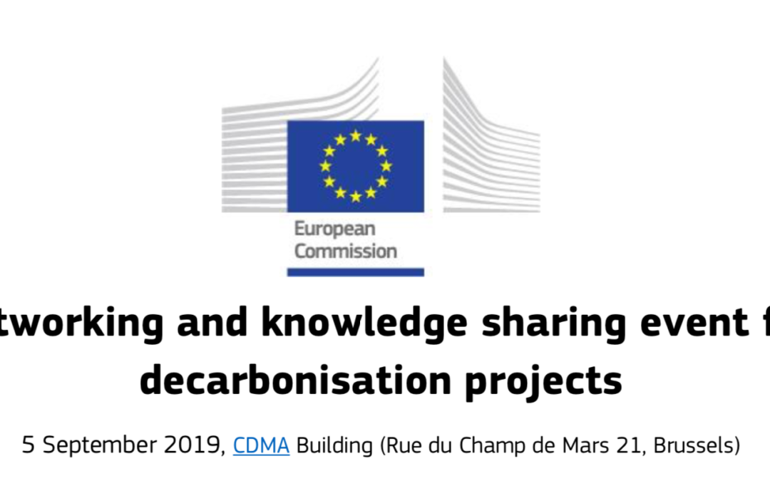 Networking and knowledge sharing event for decarbonisation projects